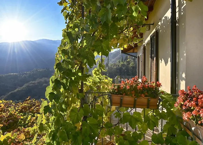 Ornella, La Terrazza - Theater Tignale
